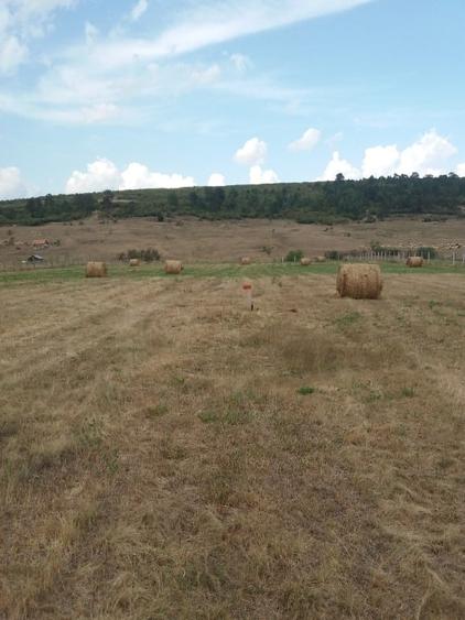 Teren intravilan Luna de Jos 9800 mp front la DJ 52,2 m - 2