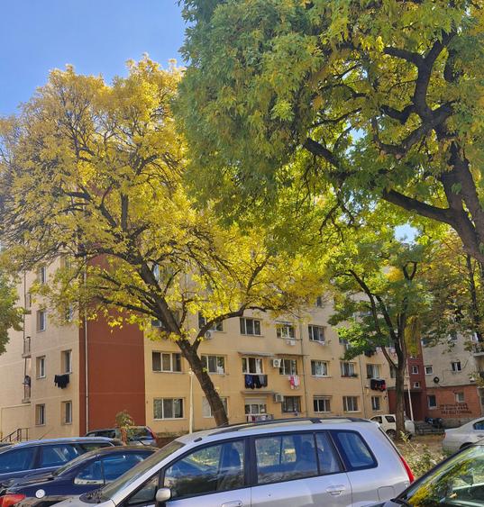 Buziasului-peste drum de fabrica Continental - 6