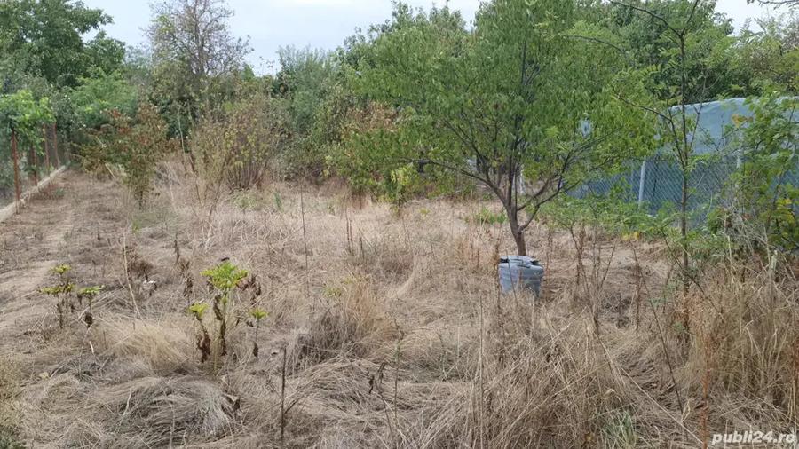 Vand casa in Alexandria - 2