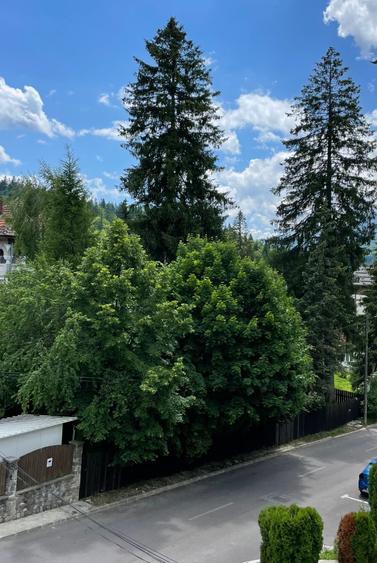 Apartamet 3 camere Predeal Zona Partiei - 7