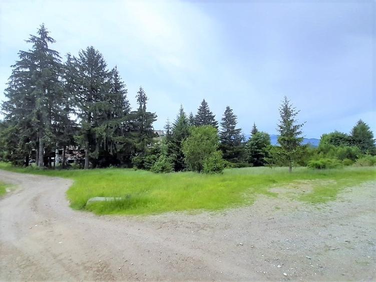 Vanzare teren intravilan Bran, 997 mp, D: 21.93 m, comision 0% - 5