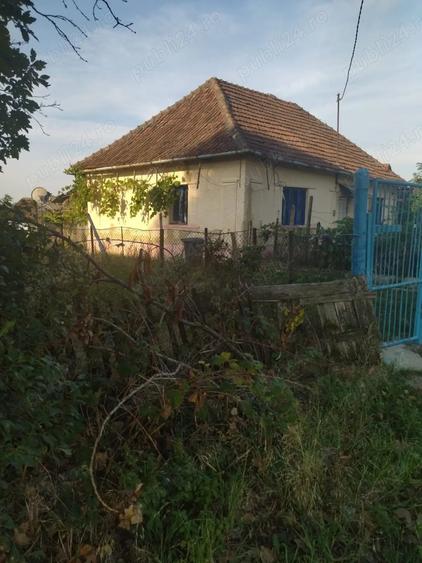 Vand casa locuibila cu vie ?i teren In sat Doh, comuna Maeriste - 5