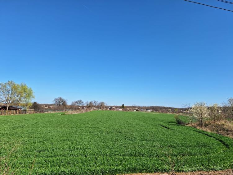 Ocazie!! deschidere 41m la DN1, pretabil vile/magazin/casa particulara - 4