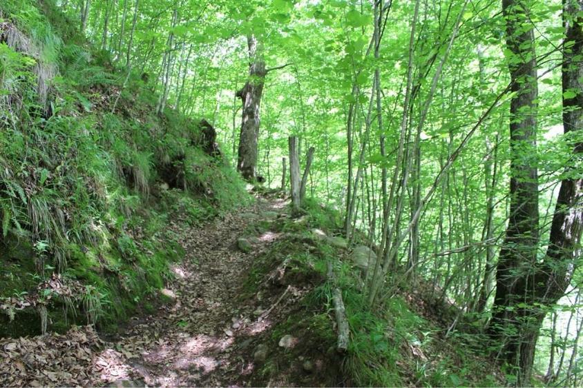 Vand cabana pe Valea Sebesului - 1