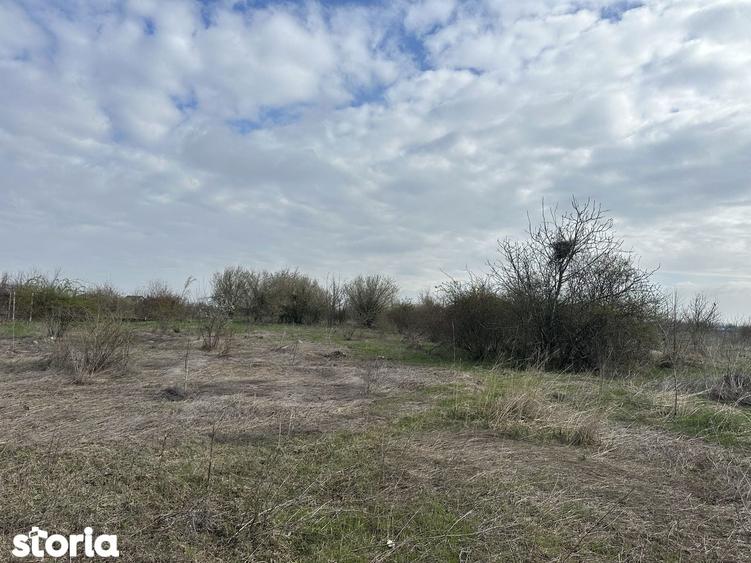Teren 918 mp Corbeanca Tamasi | Intravilan POT 27% | P+2E+M - 4