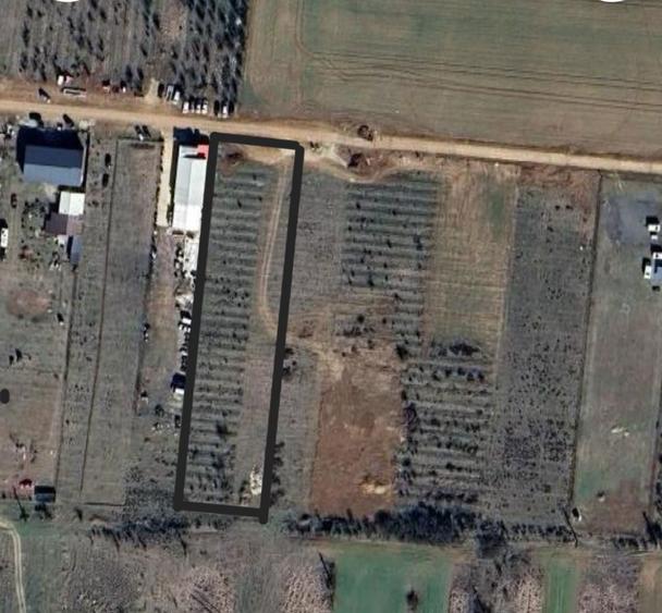 Teren spate top gel Carcea - 2