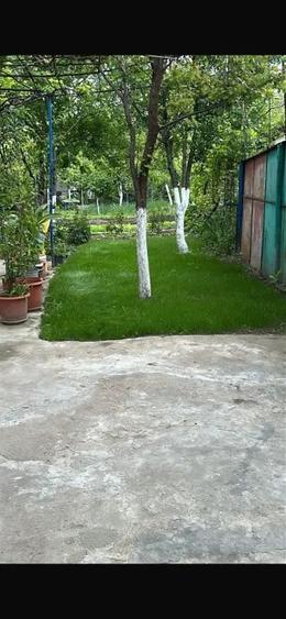 Casa zona ultracentrala Buzau - 3