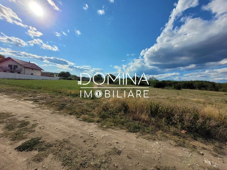 Vanzare teren intravilan cu PUZ, situat in Targu-Jiu, localitatea Slobozia - 4