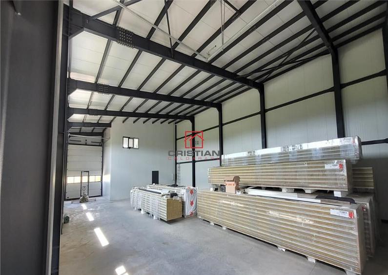 Depozit/hala/spatiu industrial Domnesti - Centura, Ilfov - 13