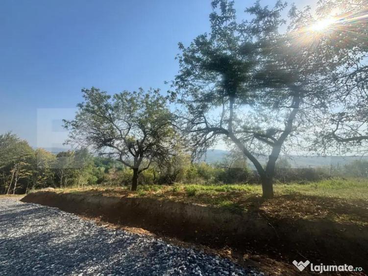 Teren de vanzare in Viisoara - 1