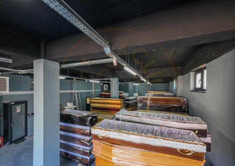 Hala / Spatiu Productie / Rezidential - Vedere catre lac - 10