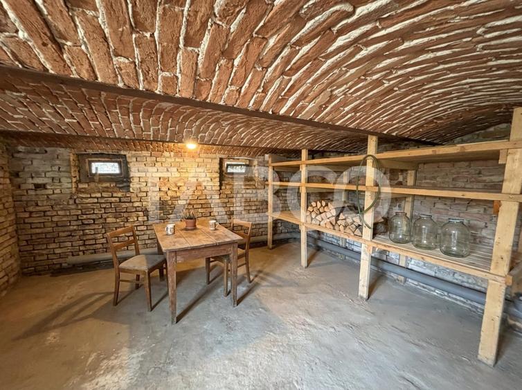 Casa individuala Sura Mare COMISION% EXCLUSIVITATE  712 mp teren - 19