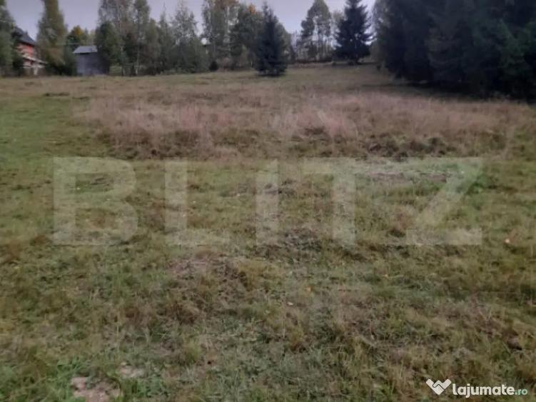 Teren intravilan de vanzare, 2280 mp, Vatra Dornei - 2