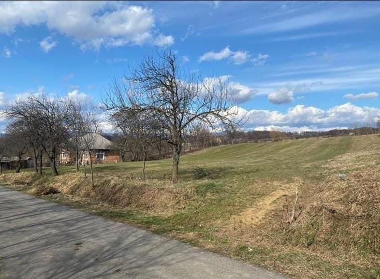 Teren Intravilan 800mp Carlig-Vanatori - 1