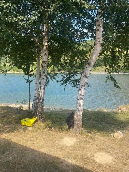 Teren la lacul Rusca-Teregova - 1