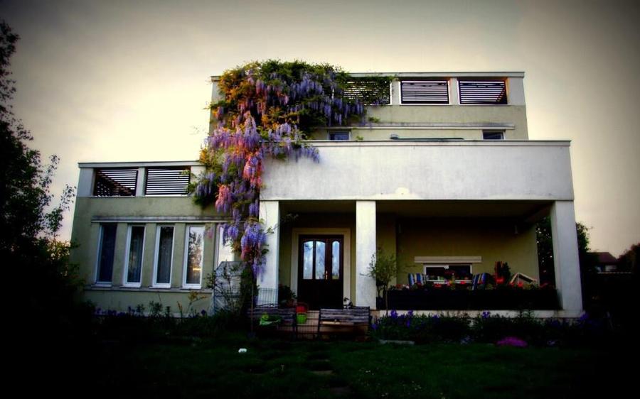 Casa individuala de lux cu piscina si teren de 4.400mp in zona VIVO - 6