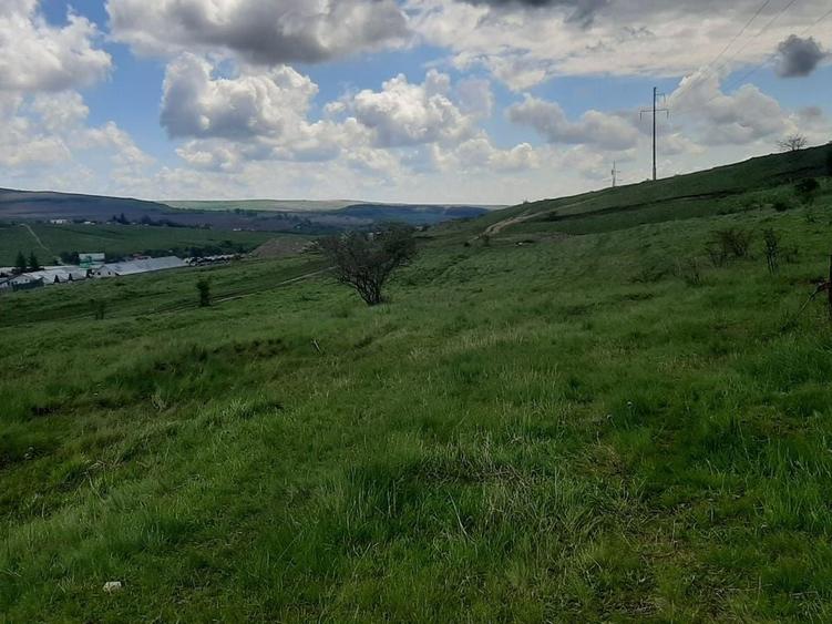 Teren in Valcele - 8