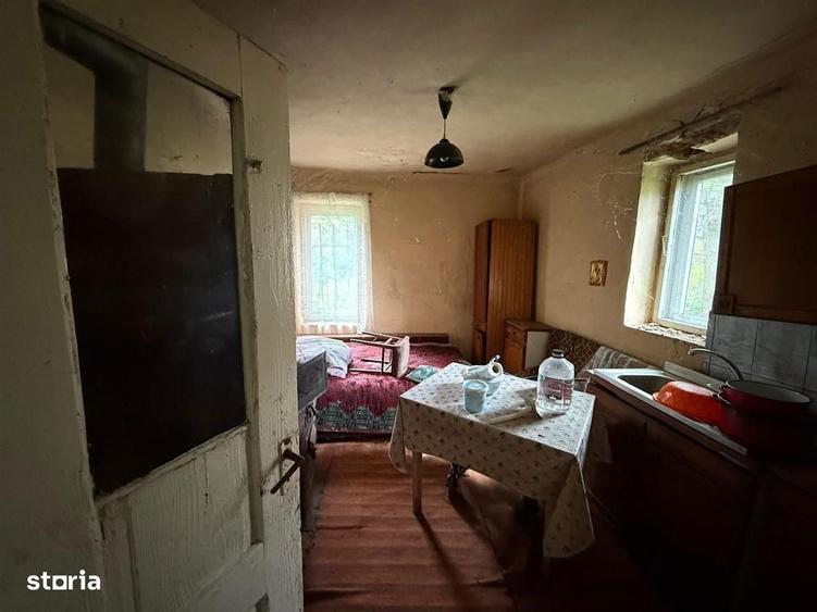 Casa la tara l teren 6600 MP l Aschileu Mare - 2