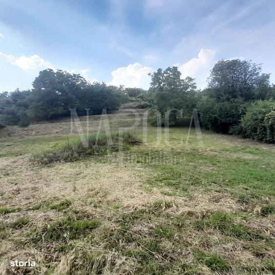 Teren intravilan pentru constructii de vanzare in Gheorghe Doja Oradea - 2