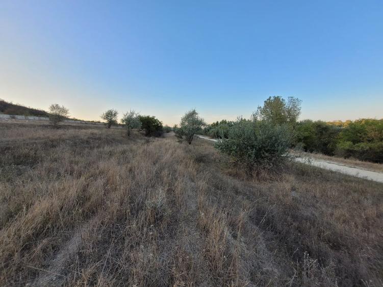 Teren Cernavodă 14.000 m/4 euro m - 1