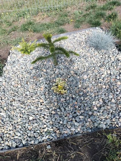 Ofer gradina de relaxare si stat in tihna, in Cluj-Napoca - 7