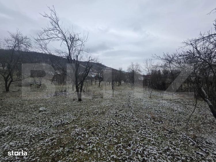 Teren intravilan, 9066 mp, zona Aninoasa - 5