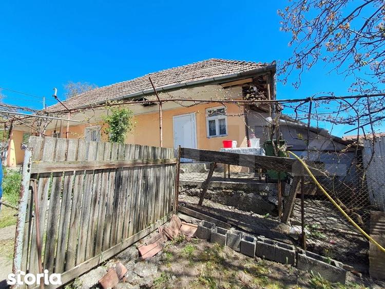 Nazna | Casa + 2900 mp teren - 6