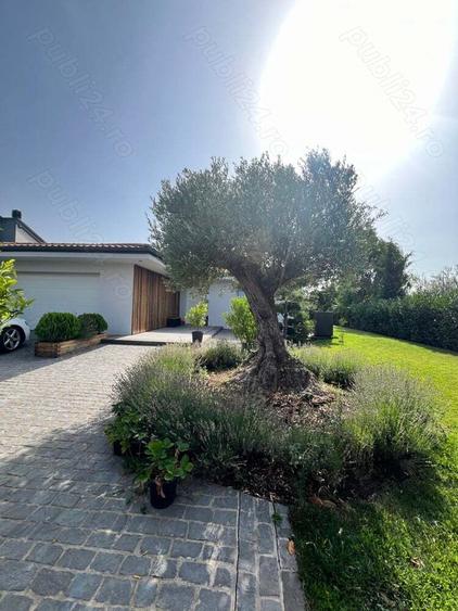 Casa de vanzare la cheie - 4