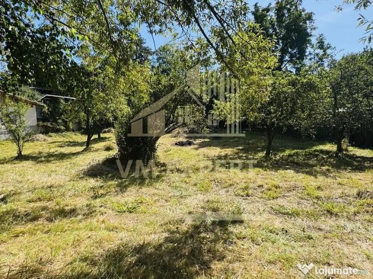 TEREN INTRAVILAN 3234 MP LERE?TI VOINE?TI ARGE? - 7