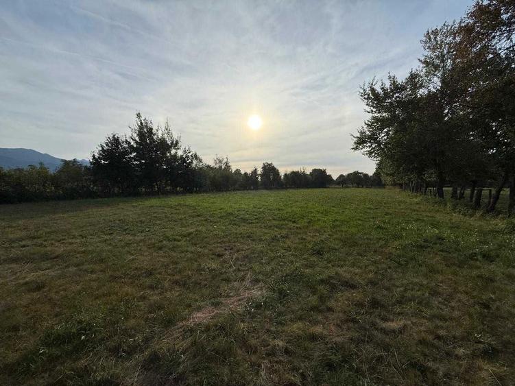 Casa si Pensiune de vanzare + 5500 mp teren - 6