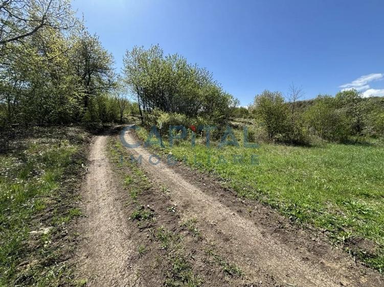 Teren intravilan 2200mp, Front 16m, sat. Padureni, Chinteni - 7