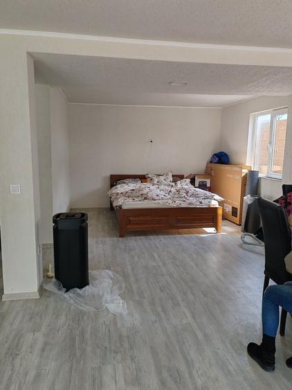 Vand casa in Petresti(Sebes) - 4