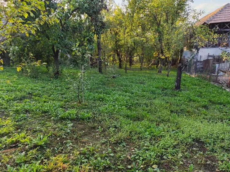 Casa de vanzare - teren 2357 mp in comuna Pietrari - 10