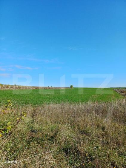 Teren intravilan 2877 mp, in Copaceni - 2