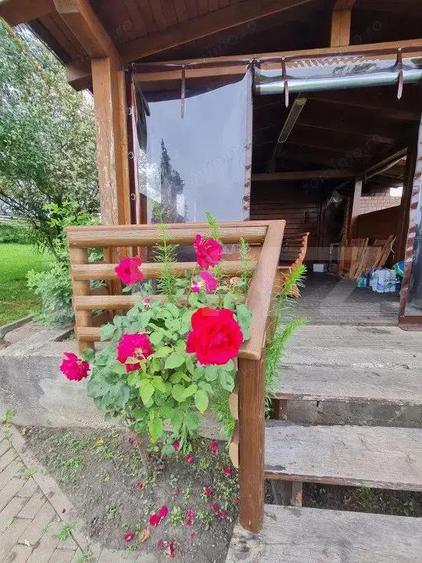 Casa vacanta 5 camere Paltinoasa, zona excelenta, in circuit turistic! - 9