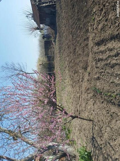 Vand casa ?i curte - 1