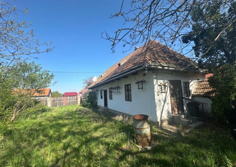 Casa Individuala Ozun Covasna teren 3200 mp - 7