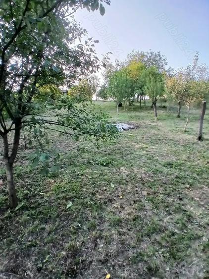 Vand casa Husasau de cris 12 km Oradea - 6