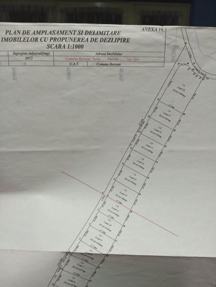 teren intravilan de vanzare in Berceni, str. Lebedei - 1