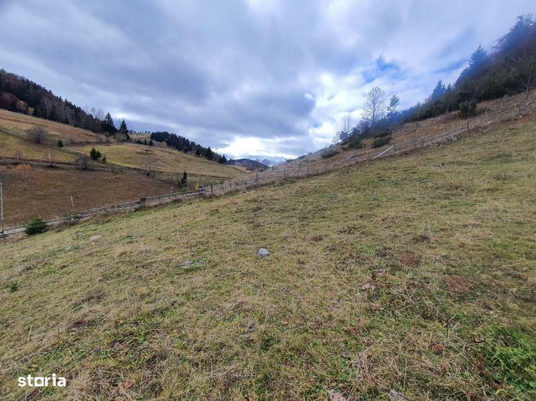 Teren rezidential intravilan Bran Fundata zona de case si pensiuni - 2