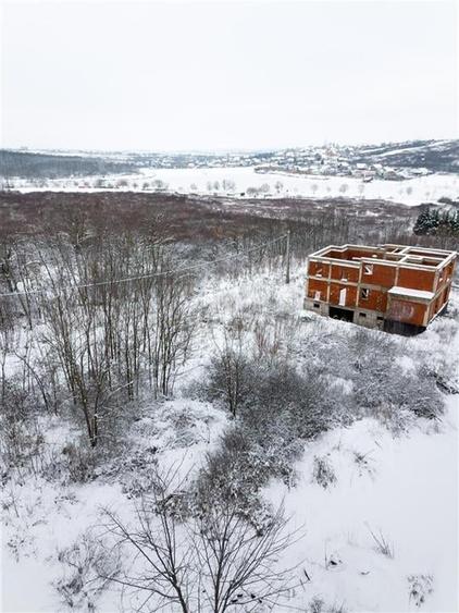 RECO, Teren intravilan cu aviz de oportunitate, Zona lacului, Paleu - 4