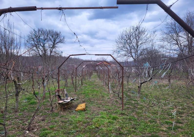 Casa Racoasa Vrancea - 7