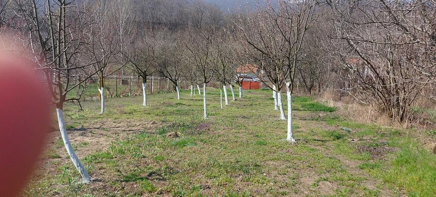 Teren intrare Herculane,E 70 Herculane-Orsova - 6