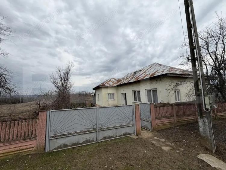 Casa pe parter, 115 mpc, 4505 mp teren, Bogea-Almaj - 3