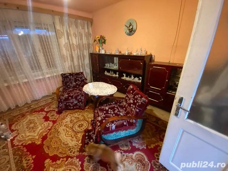 Casa Dalboset, Caras-Severin - 8