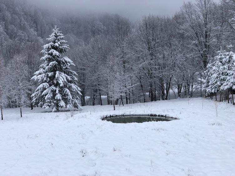 Avantajos casa in suprafata de 320 mp - 5