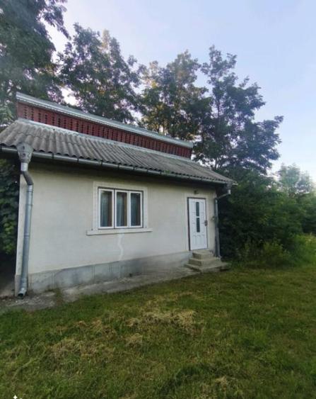 Casa individuala, 3500mp teren, zona Negostina, Siret - 2