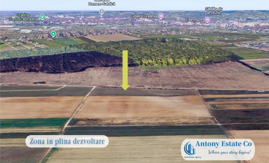 Oportunitate de investitie - Teren Cihei, langa Padurea Nojo - 5