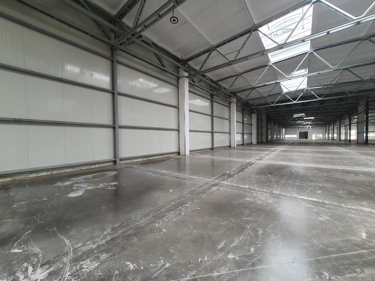 Hala 2400 mp, 4,50 e/mp - 1