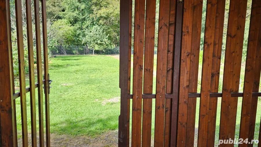 Casa de vanzare Pe?teana, jud. Hunedoara - 4